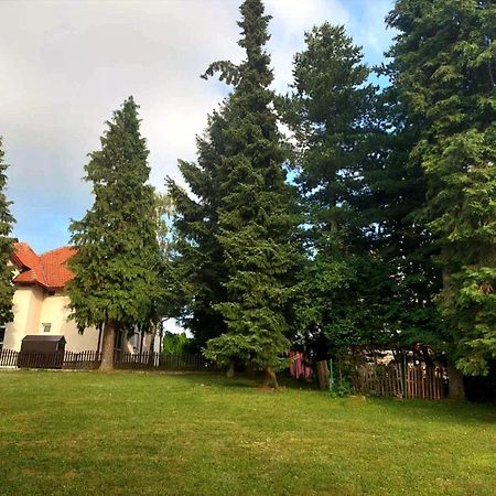 Villa Kuca Za Odmor Zlatibor Esterno foto