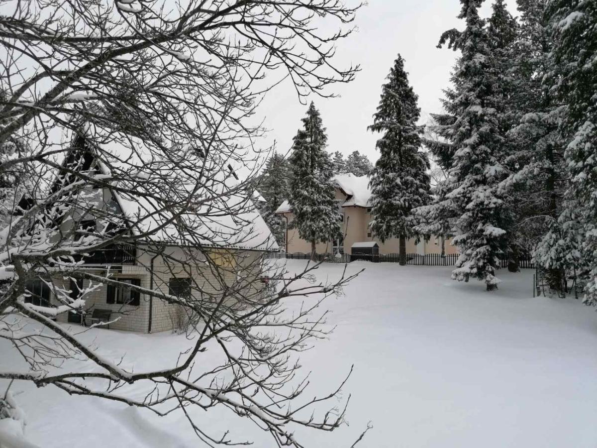 Villa Kuca Za Odmor Zlatibor Esterno foto