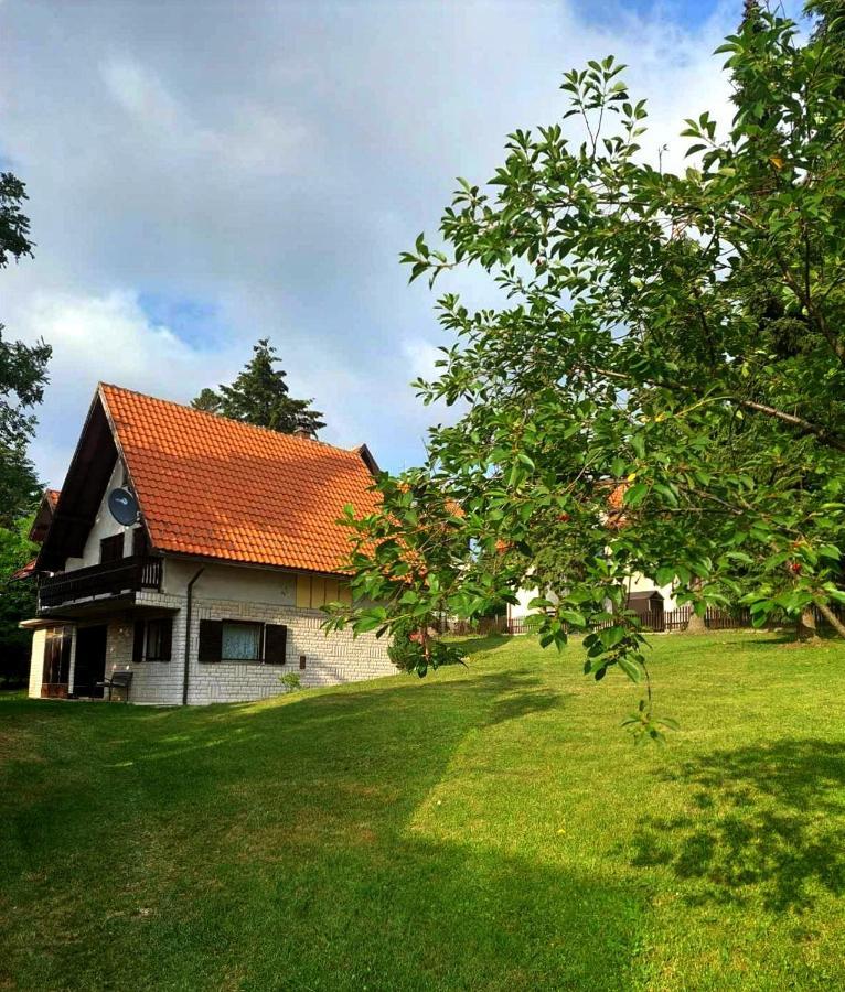 Villa Kuca Za Odmor Zlatibor Esterno foto