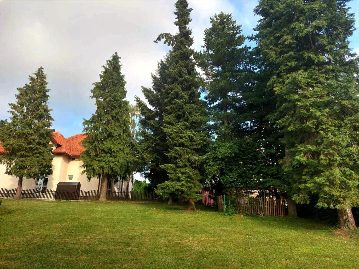 Villa Kuca Za Odmor Zlatibor Esterno foto