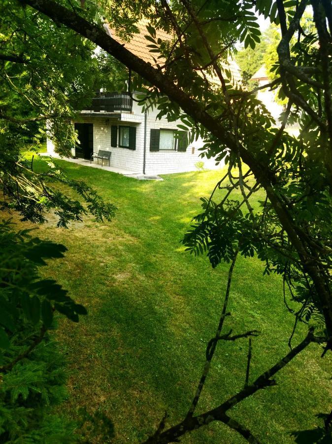 Villa Kuca Za Odmor Zlatibor Esterno foto