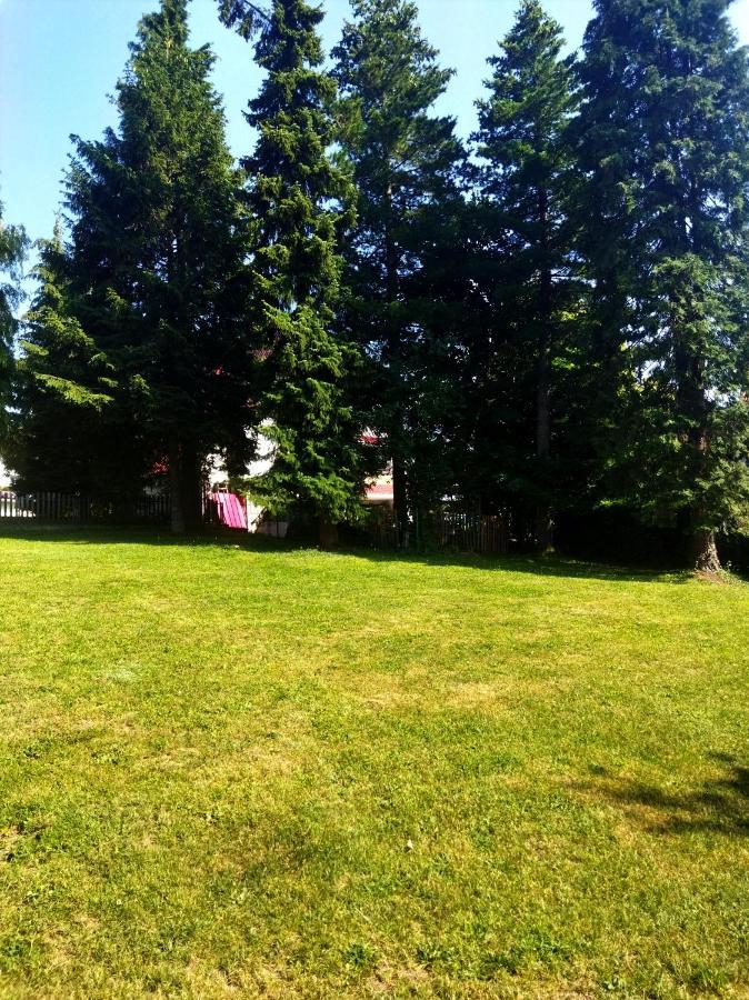 Villa Kuca Za Odmor Zlatibor Esterno foto